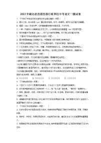 2023年湖北省直辖县级行政单位中考语文一模试卷(含答案解析)