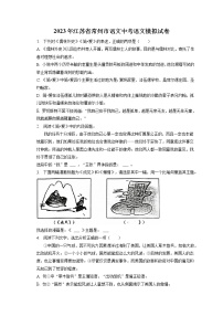 2023年江苏省常州市语文中考语文模拟试卷(含答案解析)