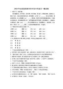 2023年山东省济南市市中区中考语文一模试卷(含答案解析)