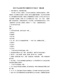 2023年山东省枣庄市滕州市中考语文一模试卷(含答案解析)