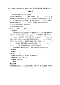 2023年浙江省嘉兴市上海外国语大学秀洲外国语学校中考语文一模试卷(含答案解析)