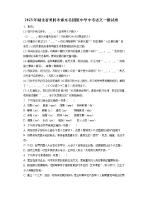 2023年湖北省黄冈市浠水县团陂中学中考语文一模试卷(含答案解析)