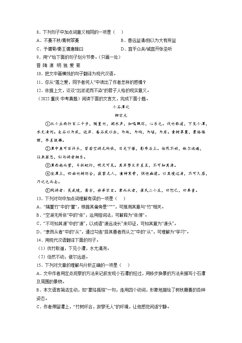 2023年中考语文基础考点精讲精练专项汇编专题11 文言文阅读：山水游记(原卷版)第3页