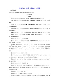 2023年中考语文基础考点精讲精练专项汇编专题13 现代文阅读：小说(原卷版)