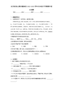 江苏省连云港市灌南县2022-2023学年七年级下学期期中语文试题（含答案）