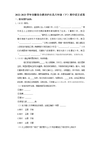 安徽省合肥市庐江县2022-2023学年八年级下学期期中语文试题（含答案）