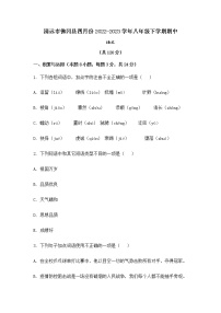广东省清远市佛冈县2022-2023学年八年级下学期期中考试语文试卷（含答案）