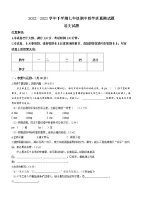 河南省驻马店市上蔡县2022-2023学年七年级下学期期中语文试题（含答案）