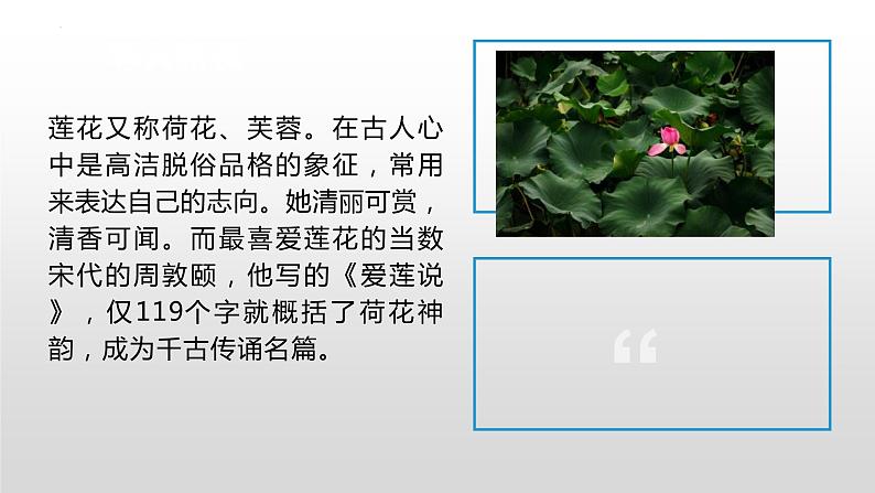 第17课《短文两篇——爱莲说》课件第2页