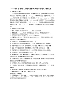 2023年广东省汕头市潮南区阳光实验中考语文一模试卷(含答案解析)