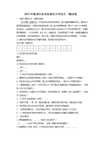 2023年黑龙江省龙东地区中考语文一模试卷（含答案解析）