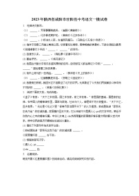2023年陕西省咸阳市泾阳县中考语文一模试卷(含答案解析)