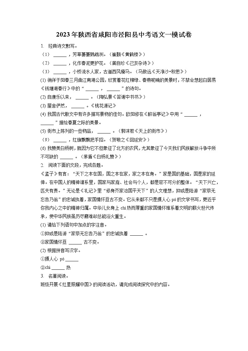 2023年陕西省咸阳市泾阳县中考语文一模试卷(含答案解析)01