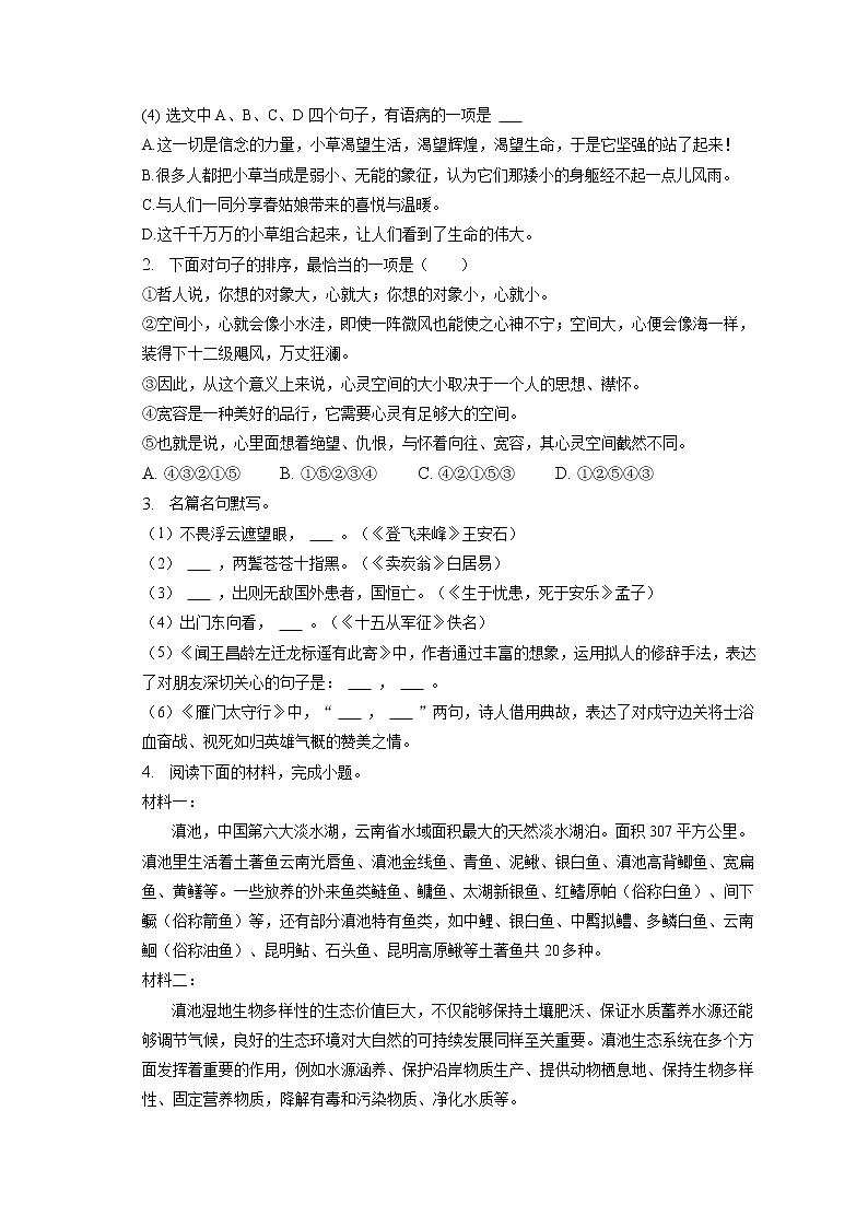 2023年云南省昭通市正道高级完全中学中考语文模拟试卷（二）(含答案解析)02