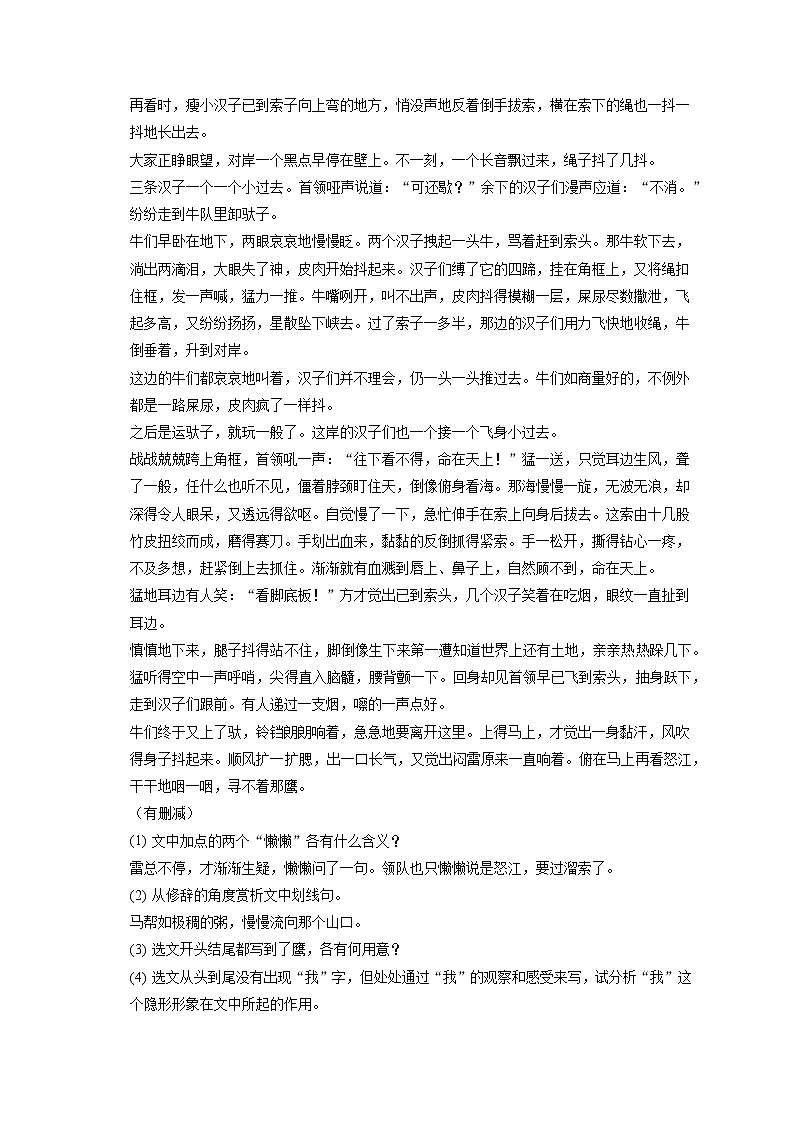 2023年四川省泸州市泸县五中二模语文试卷(含答案解析)03