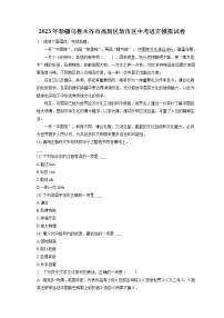 2023年新疆乌鲁木齐市高新区新市区中考语文模拟试卷(含答案解析)