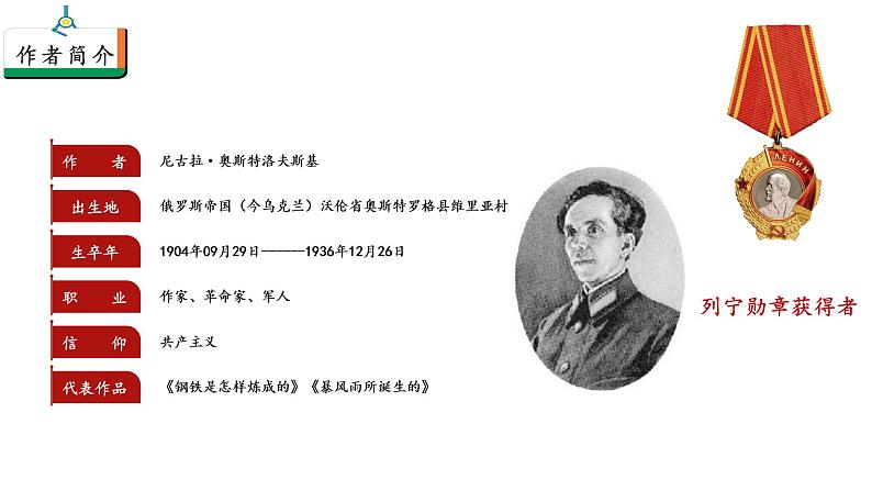 人教统编版语文八下 第六单元 名著导读《钢铁是怎样炼成的》：摘抄和做笔记 课件05