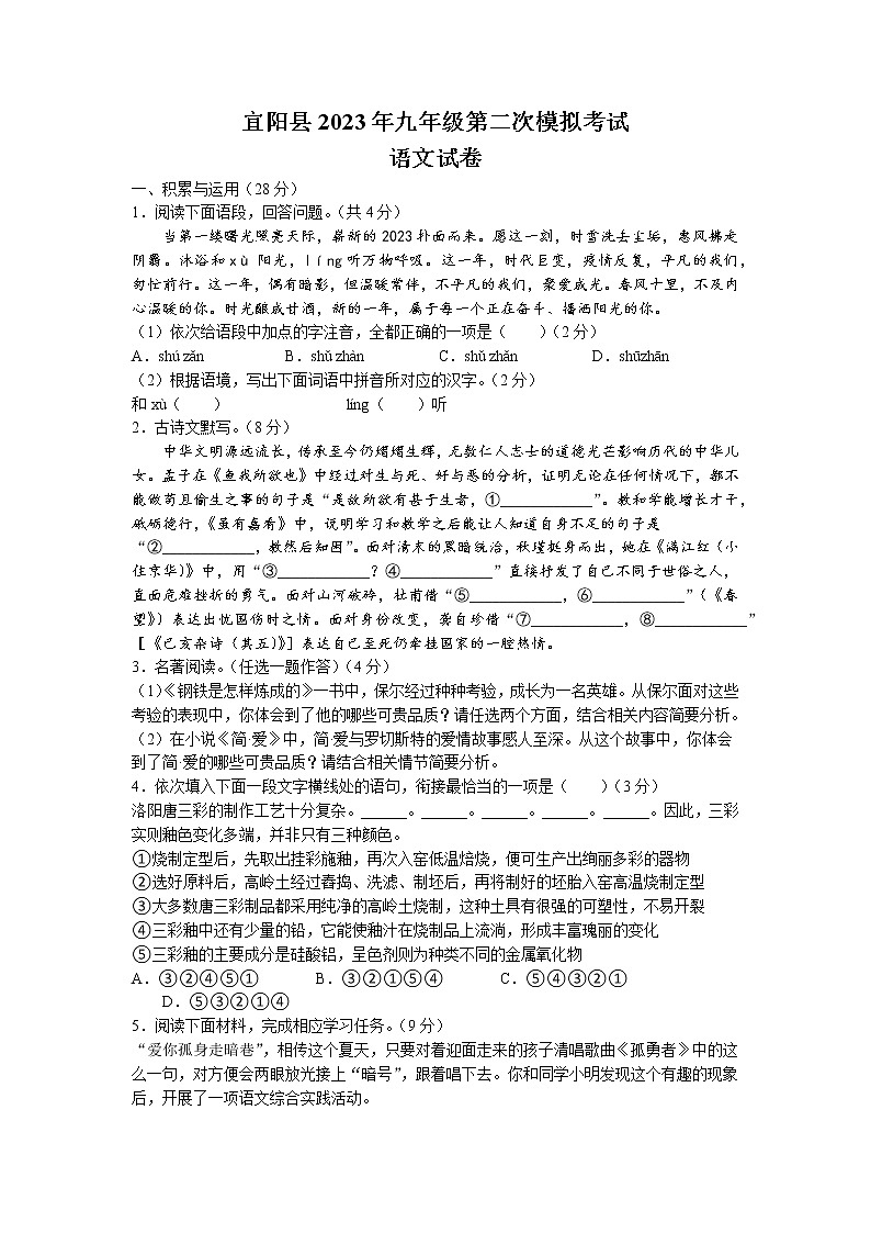 2023年河南省洛阳市宜阳县中考二模语文试题01