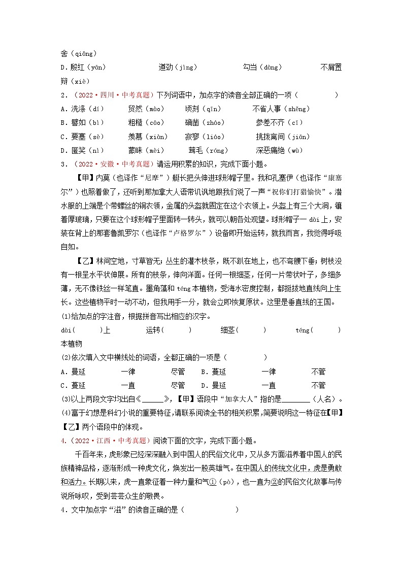 专题01 字音字形-2023中考语文二轮复习专题精讲与满分特训（全国通用）（原卷版）第3页