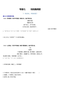 专题七 诗词曲阅读-2023年中考语文毕业班二轮热点题型归纳与变式演练（全国通用）