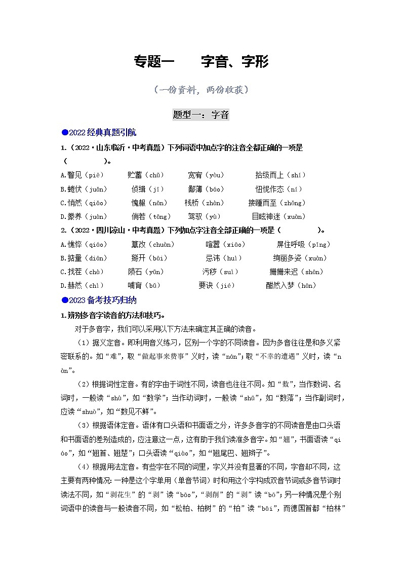 专题一    字音、字形（讲练综合）（原卷版）第1页