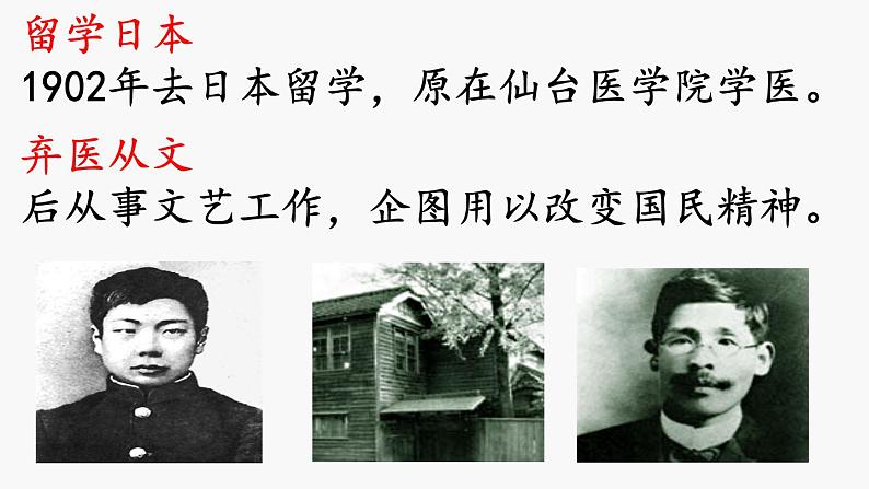 第9课 从百草园到三味书屋课件PPT第4页