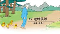 初中语文人教部编版七年级上册动物笑谈课文内容ppt课件