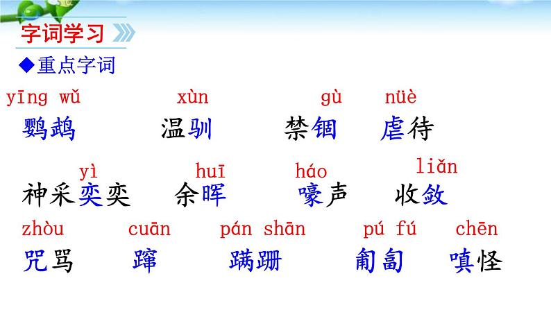 第17课 动物笑谈课件PPT05