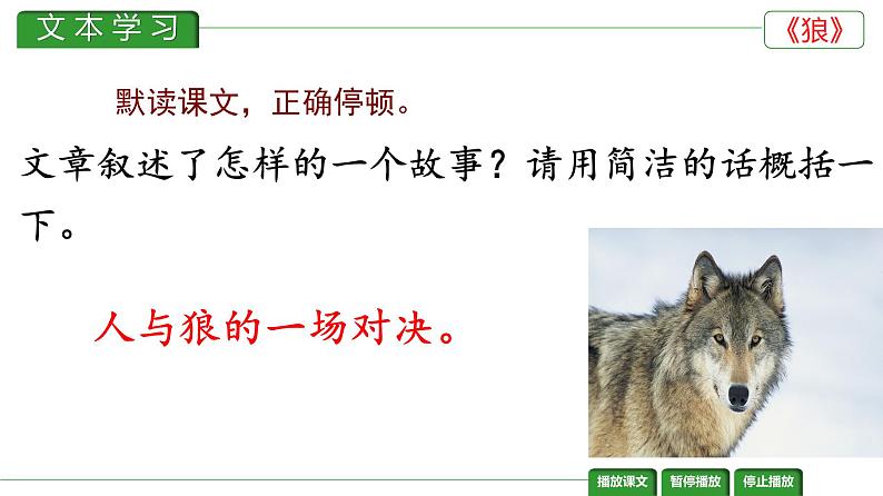 第18课 《狼》课件PPT02