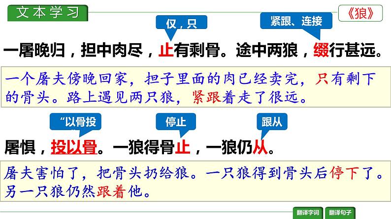 第18课 《狼》课件PPT03