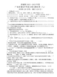 广东新课标语文中考模拟练习卷（九）及参考答案