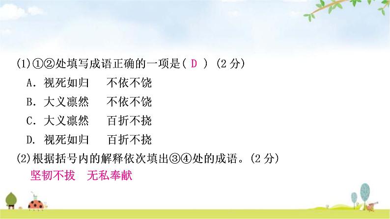 中考语文复习积累运用专题三成语积累与运用作业课件第5页