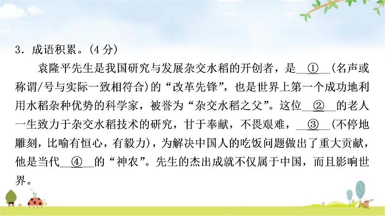 中考语文复习积累运用专题三成语积累与运用作业课件第6页