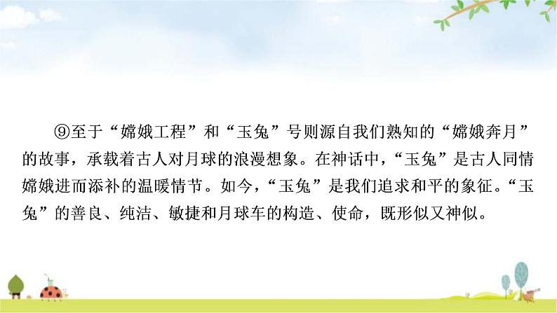 中考语文复习现代文阅读专题十二说明文阅读作业课件06
