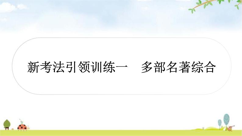 中考语文复习新考法引领训练一多部名著综合作业课件第1页