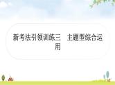 中考语文复习新考法引领训练三主题型综合运用作业课件