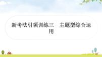 中考语文复习新考法引领训练三主题型综合运用作业课件