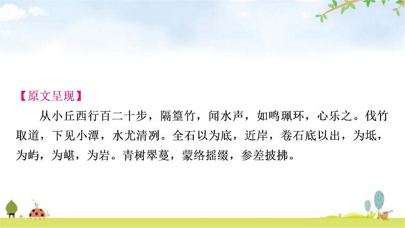中考语文复习文言文10小石潭记教学课件第3页