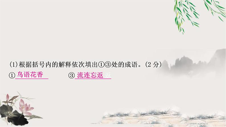 中考语文复习积累运用专题三成语积累与运用教学课件第5页