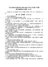 山东省泰安市新泰市  2022-2023学年八年级下学期4月期中考试语文试题