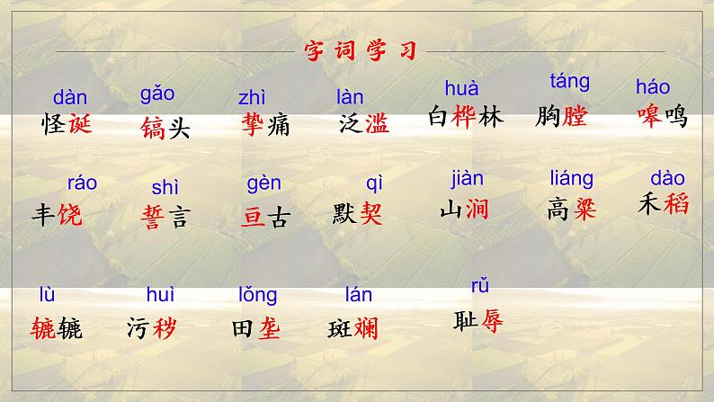 第8课  土地的誓言课件PPT05