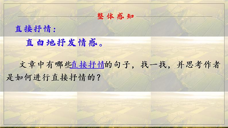 第8课  土地的誓言课件PPT08