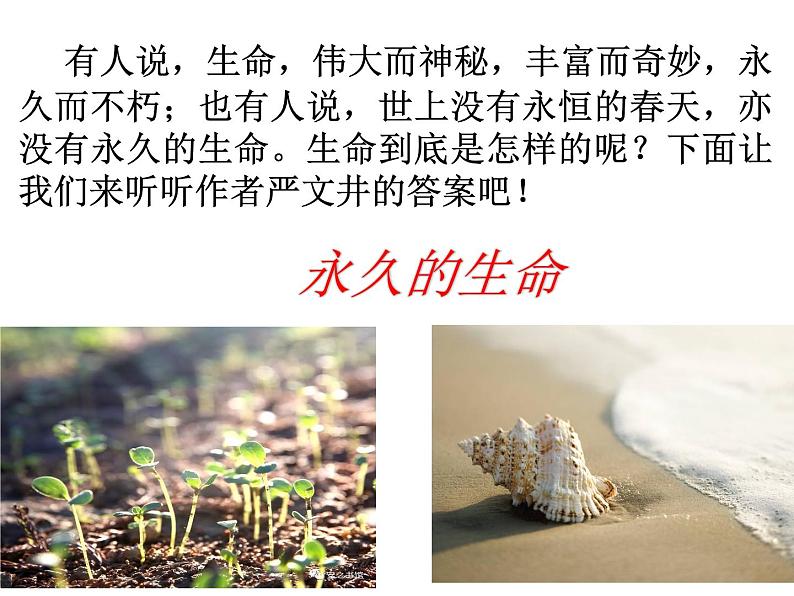 第16课  散文二篇课件PPT第3页