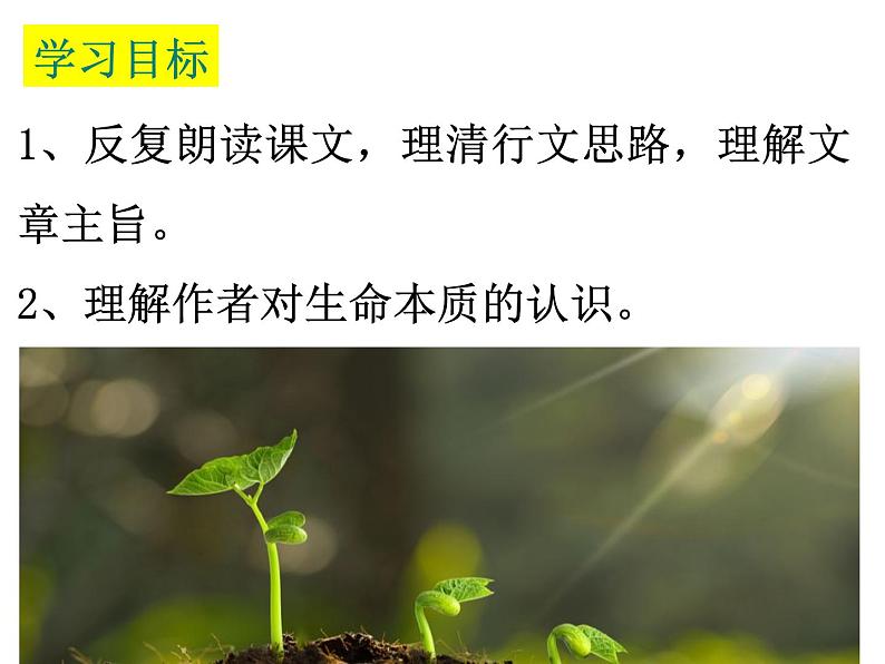 第16课  散文二篇课件PPT第4页