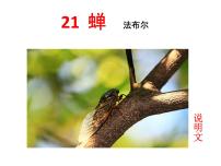 语文人教部编版蝉课文ppt课件