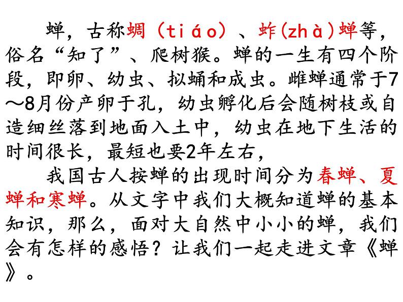 第21课  《蝉》课件PPT02