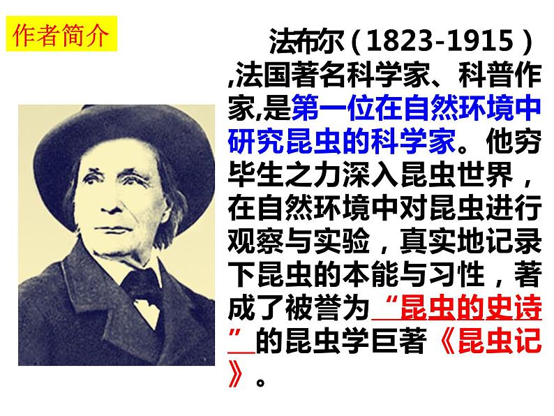 第21课  《蝉》课件PPT04