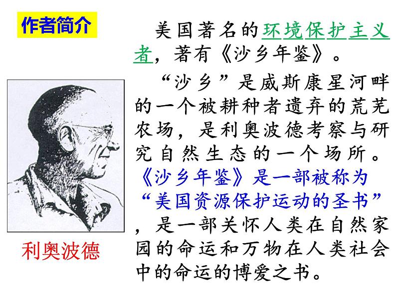 7、大雁归来课件PPT第4页