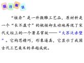 11、核舟记课件PPT