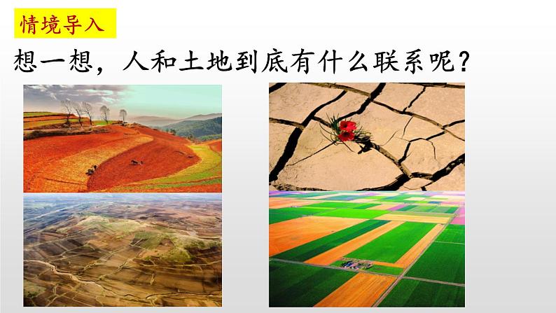 第2课 我爱这土地课件PPT第2页